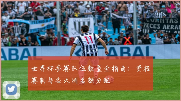世界杯参赛队伍数量全指南:资格赛制与各大洲名额分配