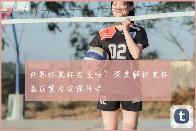 世界杯奖杯安全吗？深度解析奖杯盗窃案与安保传奇