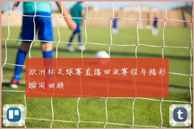欧洲杯足球赛直播回放赛程与精彩瞬间回顾