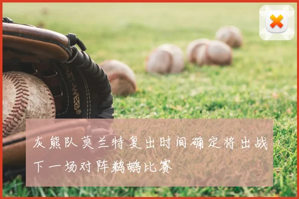 灰熊队莫兰特复出时间确定将出战下一场对阵鹈鹕比赛