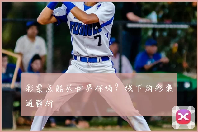 彩票点能买世界杯吗？线下购彩渠道解析