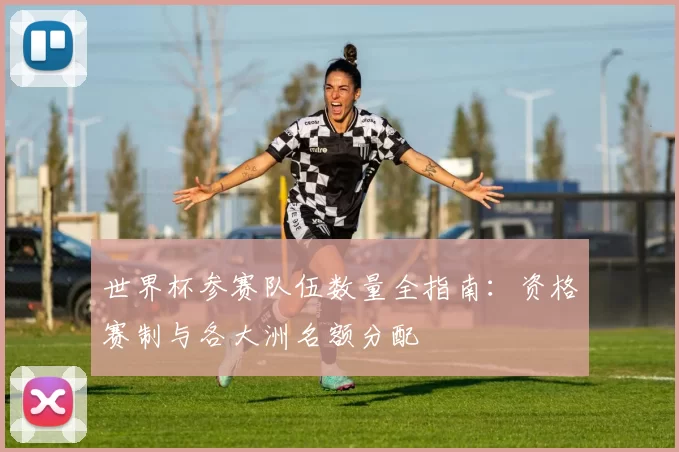 世界杯参赛队伍数量全指南:资格赛制与各大洲名额分配