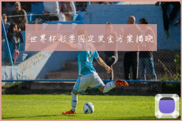 世界杯彩票固定奖金方案揭晓