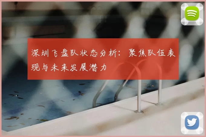深圳飞盘队状态分析：聚焦队伍表现与未来发展潜力