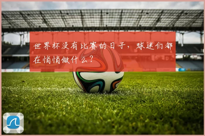 世界杯没有比赛的日子，球迷们都在悄悄做什么？