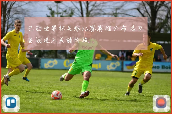 巴西世界杯足球比赛赛程公布 各队备战进入关键阶段