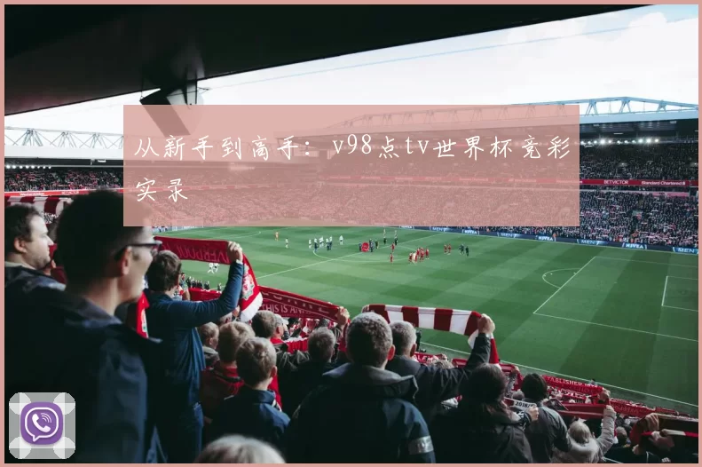 从新手到高手：v98点tv世界杯竞彩实录